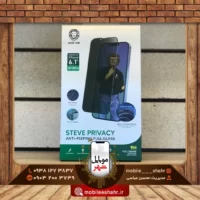 Glass Steve Privacy Green
