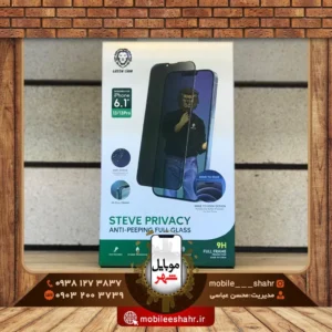 Glass Steve Privacy Green