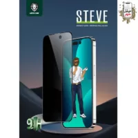 قیمت گلس استیو پرایوسی گرین مدل Glass Steve Privacy Green xr/11