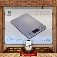 Green Electric Scale