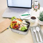 جعبه ناهار برقی لانچ میت گرین لاین Green Lunch Mate Electric Lunch Box