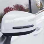 قیمت Green Car Door Guard 4-Strip Pack
