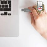 گیگابایت گرین Green Lion 2 in 1 OTG USB-C Flash Drive USB 3.0 خرید