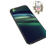 Green Lion 9H Steve خرید Matte Privacy Glass for iPhone 16 Pro/Pro Max