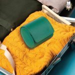 قیمت Green Solo Watch Roll Case